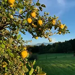 Romantik Unterkuenfte Gut Rechetsberg Huglfing