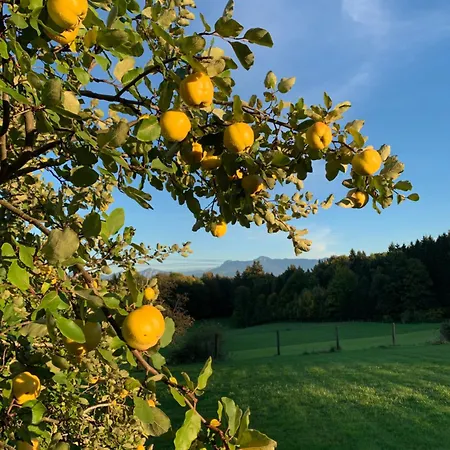 Romantik Unterkuenfte Gut Rechetsberg Huglfing